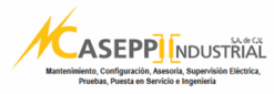 logo mcaseppi